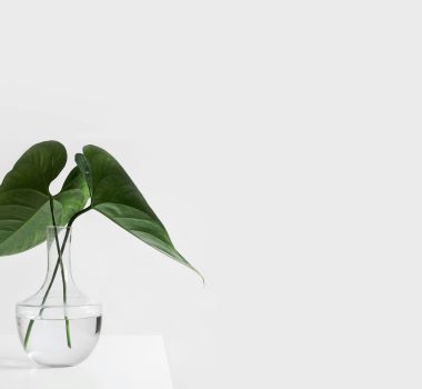 Transform Your Living Space with These Must-Have Home Decor Products Transform Your Living Space with These Must-Have Home Decor Products