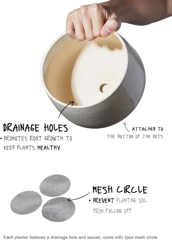 LE TAUCI Plant Pots, 4.1+5.1+6.5 inch, Set of 3, Ceramic Planters with Drainage Hole and Saucer, Indoor Flower Pot with Hole Mesh Pad, Gifts for Mom, Reactive Glaze Beige - Image 4