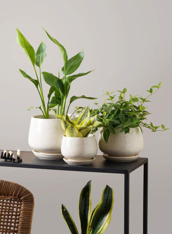 LE TAUCI Plant Pots, 4.1+5.1+6.5 inch, Set of 3, Ceramic Planters with Drainage Hole and Saucer, Indoor Flower Pot with Hole Mesh Pad, Gifts for Mom, Reactive Glaze Beige - Image 6