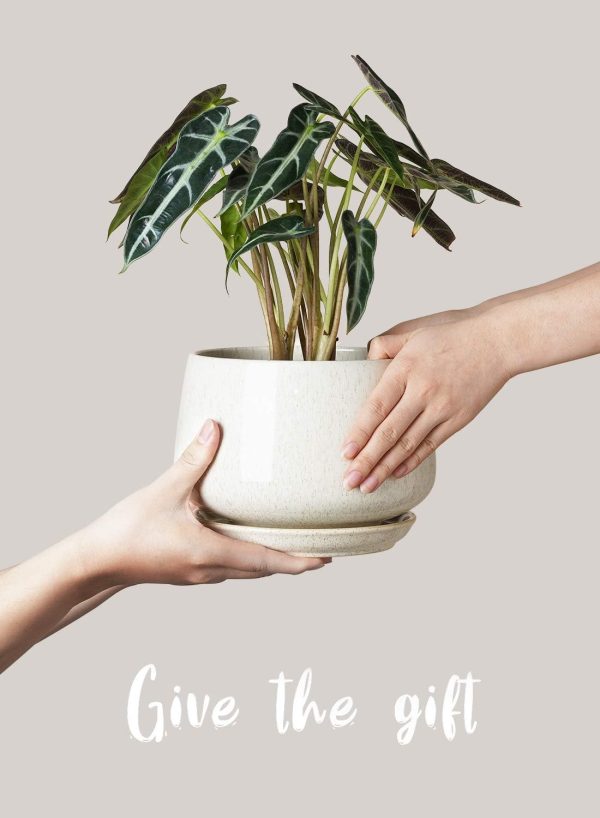 LE TAUCI Plant Pots, 4.1+5.1+6.5 inch, Set of 3, Ceramic Planters with Drainage Hole and Saucer, Indoor Flower Pot with Hole Mesh Pad, Gifts for Mom, Reactive Glaze Beige - Image 7